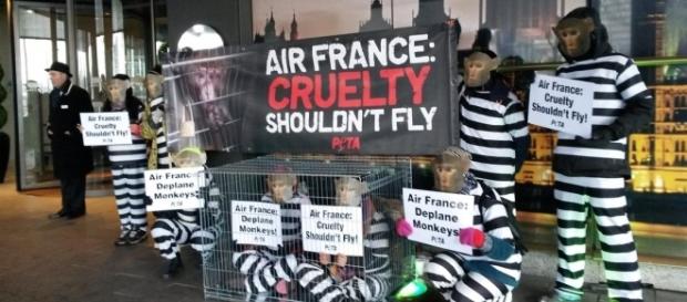 Aktionsbericht: Internationale Proteste im Februar 2015 - Stop ... - stopvivisection.net Aktionsbericht: Internationale Proteste im Februar 2015 - Stop ... - stopvivisection.net