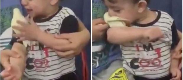 Menino achou o passarinho apetitoso Menino achou o passarinho apetitoso