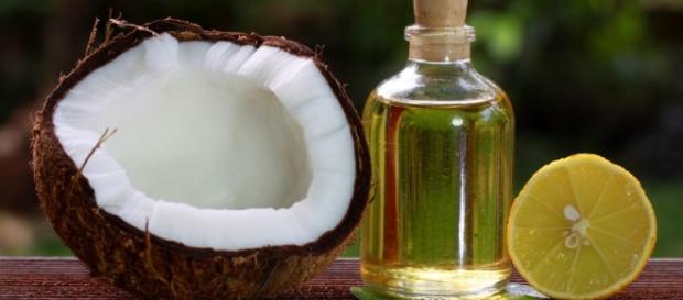 Tudo sobre Óleo de Coco: Veja seus benefícios e como consumir Tudo sobre Óleo de Coco: Veja seus benefícios e como consumir