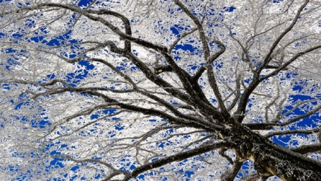 Inverno pazzo, il nord ed il sud del pianeta si scontrano in Italia