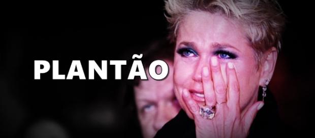 Xuxa passa por cirurgia íntima - Google Xuxa passa por cirurgia íntima - Google