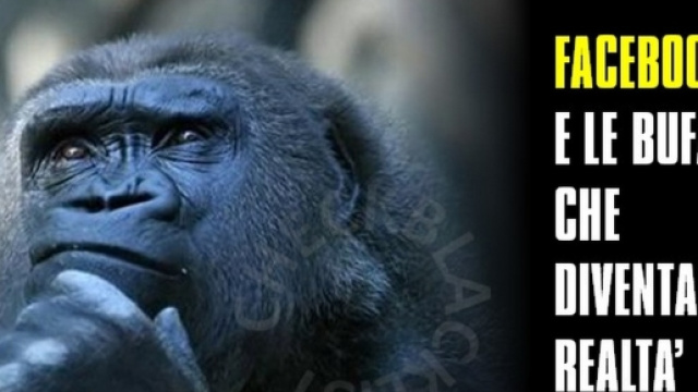 Le bufale dal web. Come capirle?