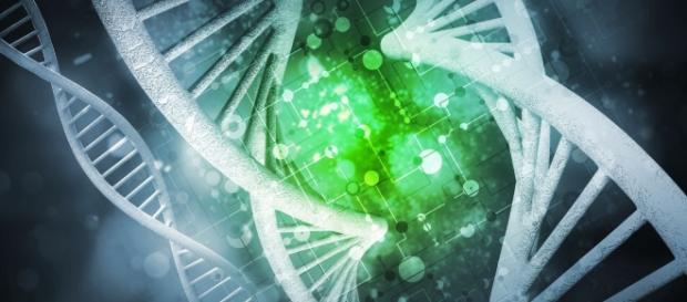 How blood cell genetic variations impact on common diseases - medicalxpress.com How blood cell genetic variations impact on common diseases - medicalxpress.com