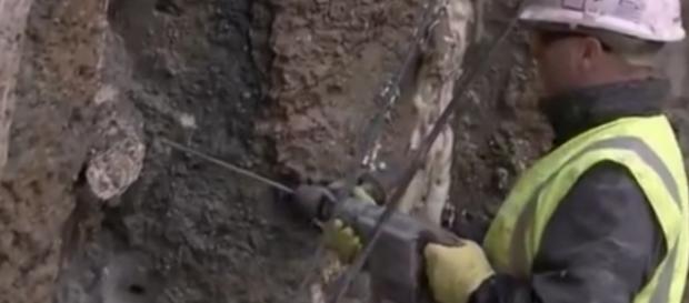 Un lavoratore specializzato in attività Un lavoratore specializzato in attività