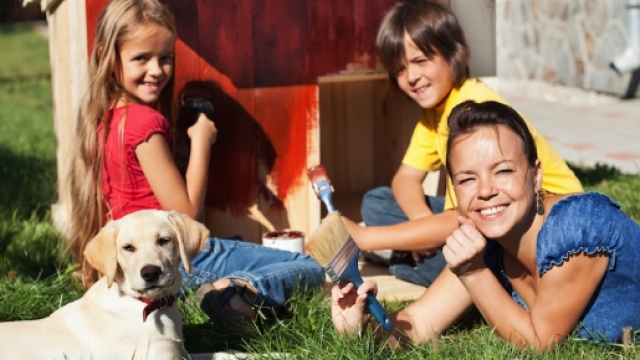 Detrazioni fiscali per gli animali domestici: ecco come fare | Gli ... - maxizoo.it