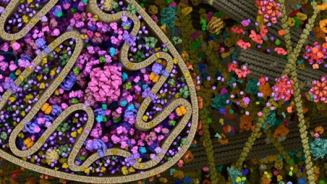 I mitocondri giocano un ruolo chiave nella malattia di Parkinson