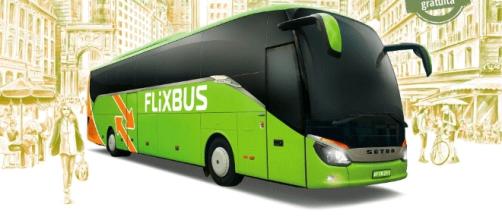 FlixBus: azienda low cost di trasporti