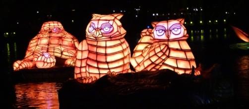 The animal lantern floats are breathtaking. (Photo by Barb Nefer)
