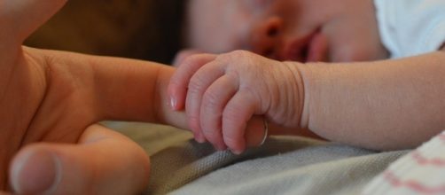 Bonus Bebè 2017 e Bonus Mamme Domani da 800 Euro - periodofertile.it