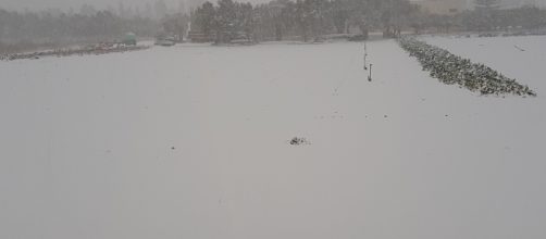 Copiose nevicate sul Salento a Gennaiom