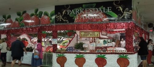 Florida Strawberry Festival – Parkesdale's Masterpieces ... - parkesdale.com