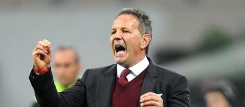 L'allenatore del Torino Sinisa Mihajlovic La Stampa - lastampa.it