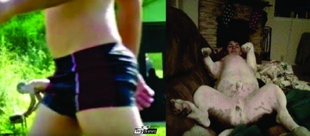 Confira algumas imagens que vão confundir sua cabeça Confira algumas imagens que vão confundir sua cabeça