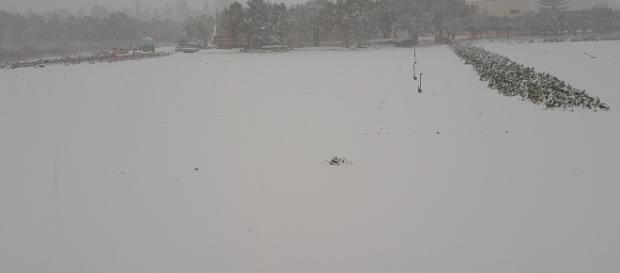 Copiose nevicate sul Salento a Gennaiom Copiose nevicate sul Salento a Gennaiom