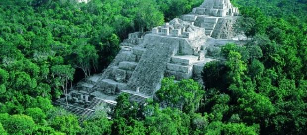 Calakmul, una joya sumergida en la selva mexicana Calakmul, una joya sumergida en la selva mexicana