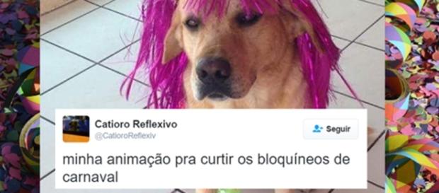Os melhores tweets de humor para quem odeia o Carnaval. Reprodução: Twitter. Os melhores tweets de humor para quem odeia o Carnaval. Reprodução: Twitter.
