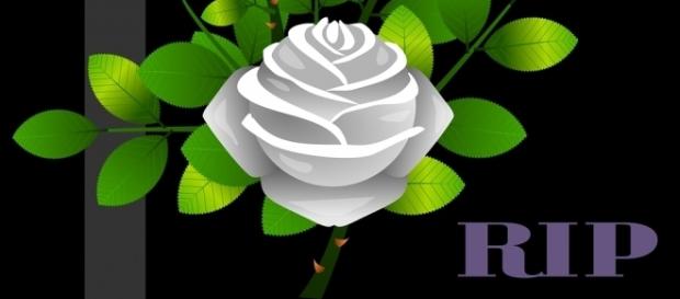 Rugby world mourns three deaths in february Image via CC0 Public Domain, Pixabay Rugby world mourns three deaths in february Image via CC0 Public Domain, Pixabay