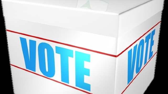 Le vote: l'arme fatale...contre le peuple.