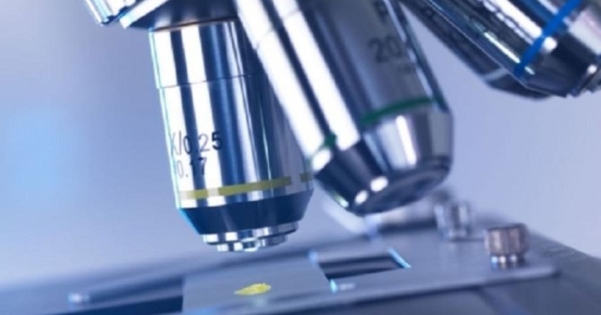 Eccezionale scoperta nella lotta Contro il cancro