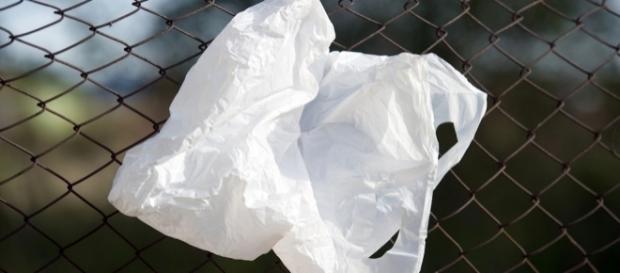 Die Tütchenfrage: Wie gefährlich sind Plastiktüten? | Faszination ... - br.de Die Tütchenfrage: Wie gefährlich sind Plastiktüten? | Faszination ... - br.de