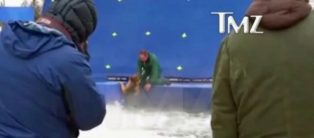 O vídeo mostra o cão com medo e sendo forçado a entrar em um tanque que simula uma correnteza. Fonte: Reprodução TMZ/G1 O vídeo mostra o cão com medo e sendo forçado a entrar em um tanque que simula uma correnteza. Fonte: Reprodução TMZ/G1