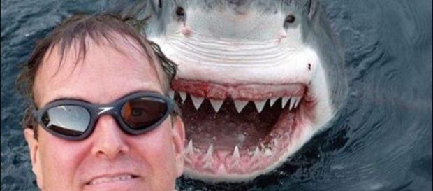 As selfies que não deram certo As selfies que não deram certo