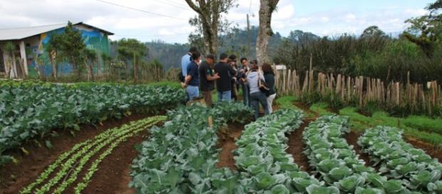 La restauración de suelos agrícolas: clave para combatir el cambio. La restauración de suelos agrícolas: clave para combatir el cambio.