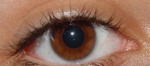 Pessoas com olhos castanhos são especiais. Pessoas com olhos castanhos são especiais.