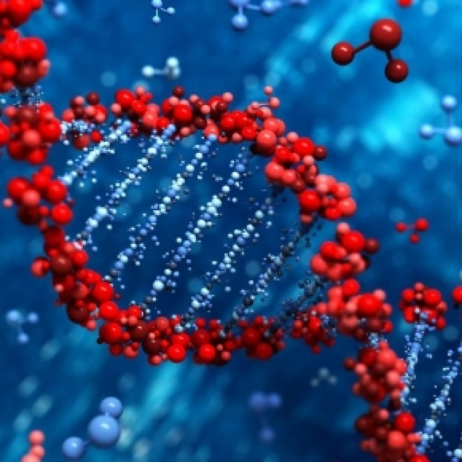Switched-on DNA to spark nano-electronic applications | ASU Now ... - asu.edu