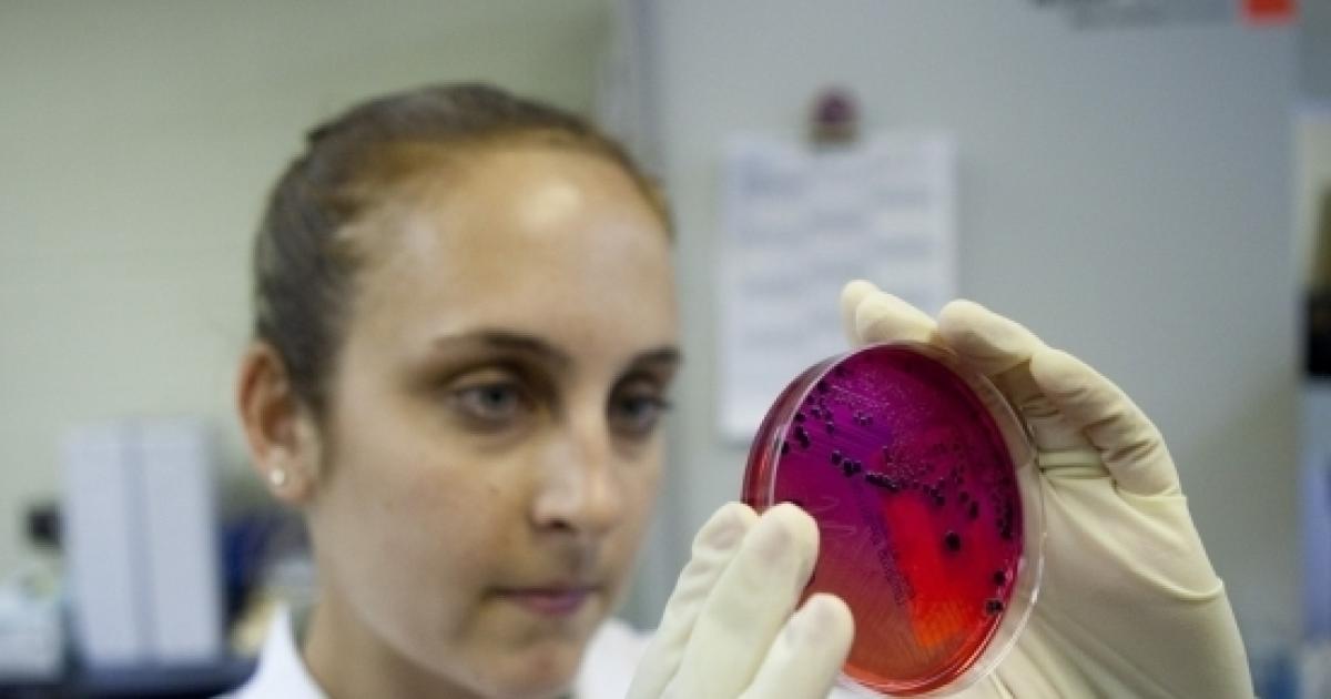 Salmonella can help combat cancer