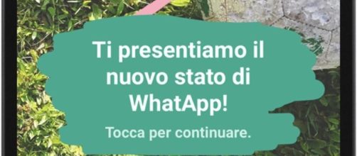 Nuova funzione su WhatsApp per condividere lo "stato".