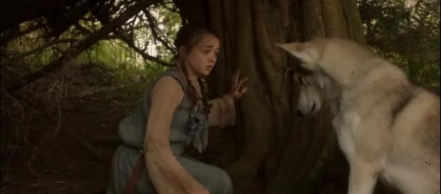 Arya y Nymeria están separadas desde la primera temporada. Arya y Nymeria están separadas desde la primera temporada.