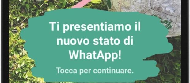 Nuova funzione su WhatsApp per condividere lo "stato". Nuova funzione su WhatsApp per condividere lo "stato".