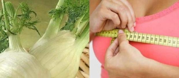 Plantas que aumentam o tamanho dos seios. Plantas que aumentam o tamanho dos seios.