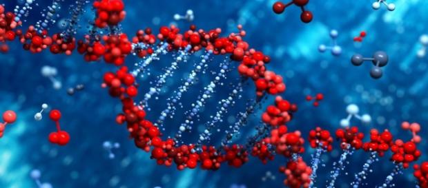 Switched-on DNA to spark nano-electronic applications | ASU Now ... - asu.edu Switched-on DNA to spark nano-electronic applications | ASU Now ... - asu.edu