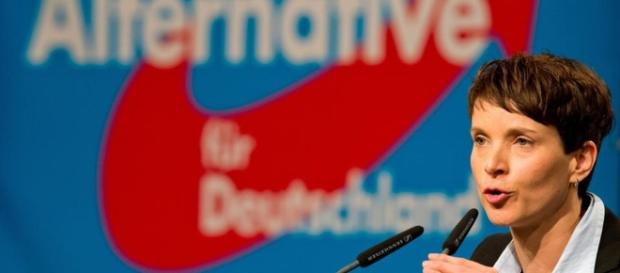 Will Frauke Petry etwas verschleiern? - katehon.com Will Frauke Petry etwas verschleiern? - katehon.com