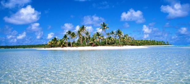 Islas continentales e islas oceánicas - Biología - infobiologia.net Islas continentales e islas oceánicas - Biología - infobiologia.net