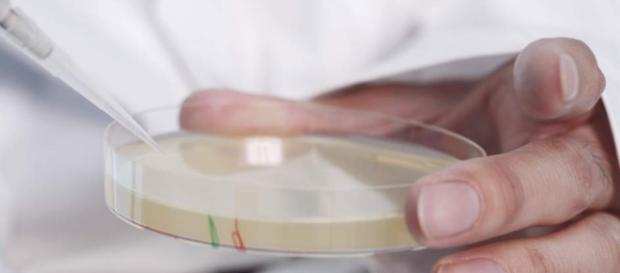 La utilización de antibióticos ha aumentado un 40% en tan sólo 10 años La utilización de antibióticos ha aumentado un 40% en tan sólo 10 años