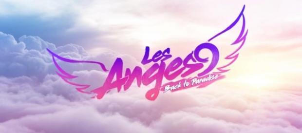 Les Anges 9 - Un candidat de plus quitte l'aventure ! Les Anges 9 - Un candidat de plus quitte l'aventure !