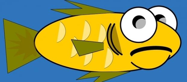 Quem é dono do peixe? Resolva enigma de Albert Einstein Quem é dono do peixe? Resolva enigma de Albert Einstein