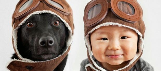 Son los perros los que se parecen a sus dueños o es al revés? | dumts - dumts.es Son los perros los que se parecen a sus dueños o es al revés? | dumts - dumts.es