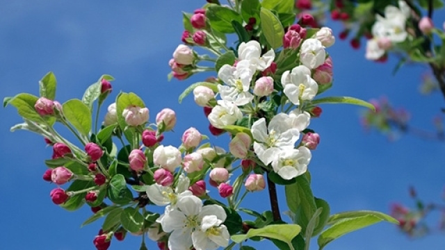 Previsioni del tempo per il mese di marzo