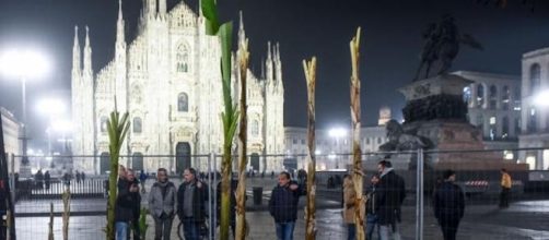 I banani in piazza Duomo. Foto da Twitter