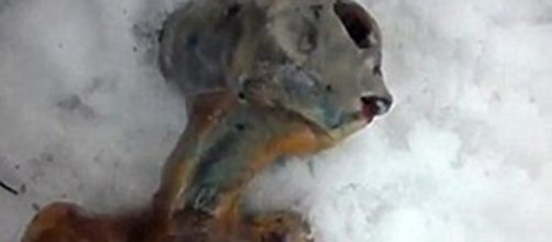 Real Life X-File Debunked: Frozen Alien in Russia Made of Chicken ... - wonderhowto.com
