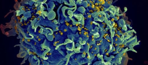 Un vaccin universel contre le VIH (sida) aurait été mis au point ... - science-et-vie.com