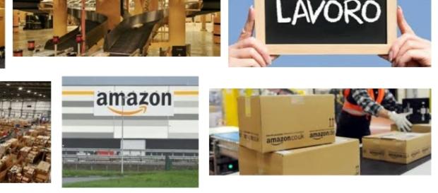 offerte di lavoro Amzon e Timberland offerte di lavoro Amzon e Timberland