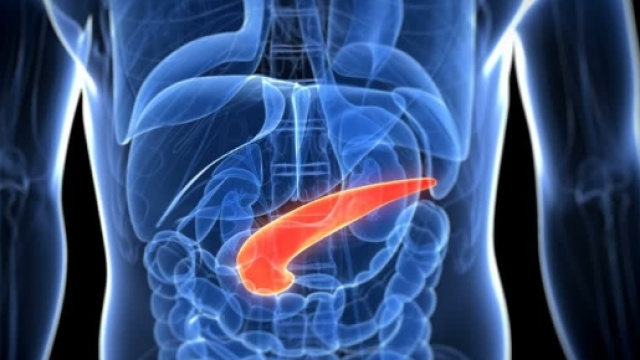 Effetti della dieta mima-digiuno su diabete e cellule beta del pancreas - khbuzz.com