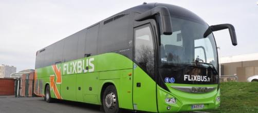Flixbus: start-up nata in Germania