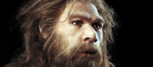 How extinct humans left their mark on us - BBC News - bbc.com