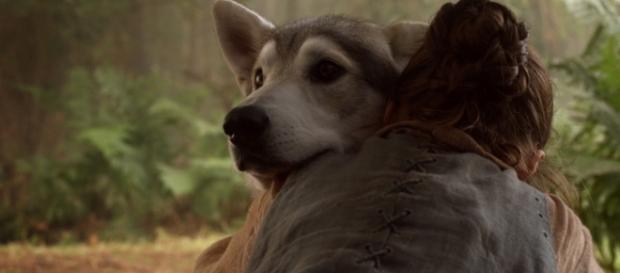 Arya Stark e Nymeria poderão se reencontrar na 7ª temporada de Game of Thrones Arya Stark e Nymeria poderão se reencontrar na 7ª temporada de Game of Thrones